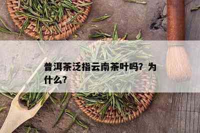 普洱茶泛指云南茶叶吗？为什么？