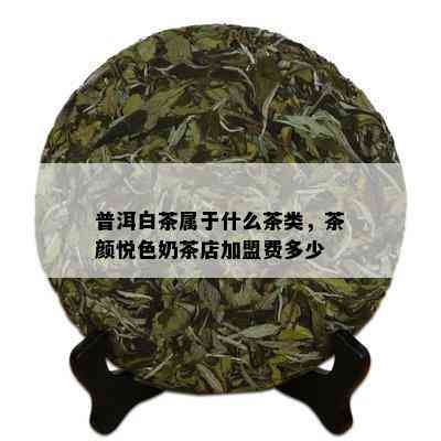 普洱白茶属于什么茶类，茶颜悦色奶茶店加盟费多少