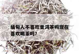 缅甸人不喜欢普洱茶吗现在喜欢喝茶吗？