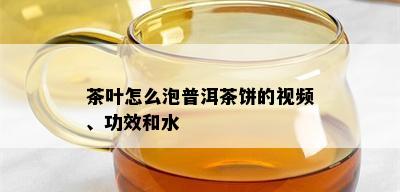 茶叶怎么泡普洱茶饼的视频、功效和水