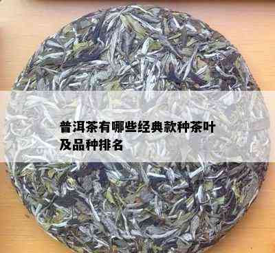 普洱茶有哪些经典款种茶叶及品种排名