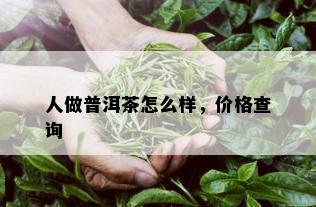 人做普洱茶怎么样，价格查询