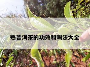 熟普洱茶的功效和喝法大全