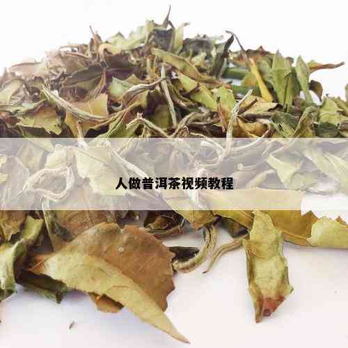 人做普洱茶视频教程