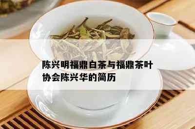 陈兴明福鼎白茶与福鼎茶叶协会陈兴华的简历