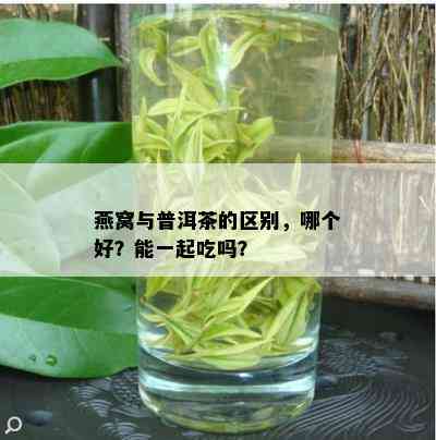 燕窝与普洱茶的区别，哪个好？能一起吃吗？