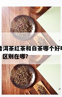 普洱茶红茶和白茶哪个好喝，区别在哪？