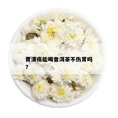 胃溃疡能喝普洱茶不伤胃吗?