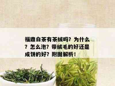 福鼎白茶有茶绒吗？为什么？怎么泡？带绒毛的好还是成饼的好？附图解析！