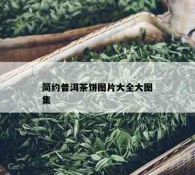 简约普洱茶饼图片大全大图集