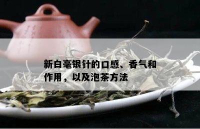 新白毫银针的口感、香气和作用，以及泡茶方法