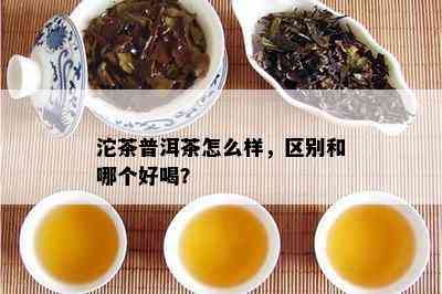 沱茶普洱茶怎么样，区别和哪个好喝？