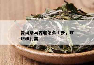 普洱茶马古道怎么上去，攻略和门票