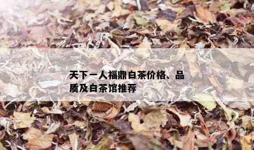 天下一人福鼎白茶价格、品质及白茶馆推荐