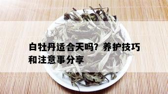 白牡丹适合天吗？养护技巧和注意事分享