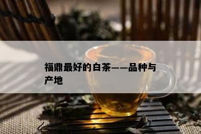 福鼎更好的白茶——品种与产地