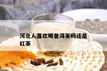 河北人喜欢喝普洱茶吗还是红茶