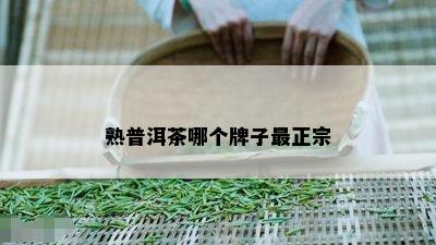 熟普洱茶哪个牌子最正宗