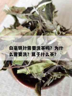 白毫银针需要洗茶吗？为什么需要洗？属于什么茶？