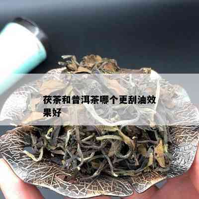 茯茶和普洱茶哪个更刮油效果好