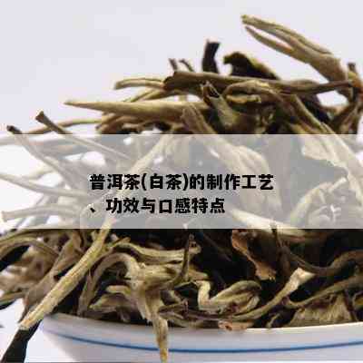 普洱茶(白茶)的制作工艺、功效与口感特点