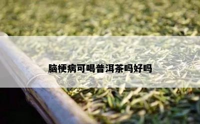 脑梗病可喝普洱茶吗好吗