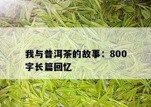 我与普洱茶的故事：800字长篇回忆