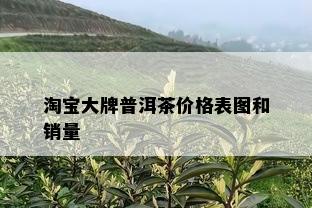 淘宝大牌普洱茶价格表图和销量