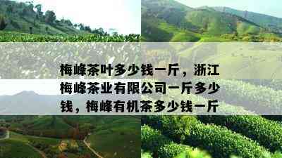 梅峰茶叶多少钱一斤，浙江梅峰茶业有限公司一斤多少钱，梅峰有机茶多少钱一斤