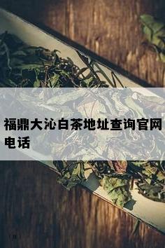 福鼎大沁白茶地址查询官网电话