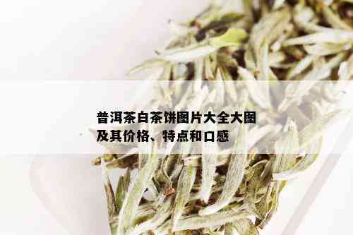 普洱茶白茶饼图片大全大图及其价格、特点和口感