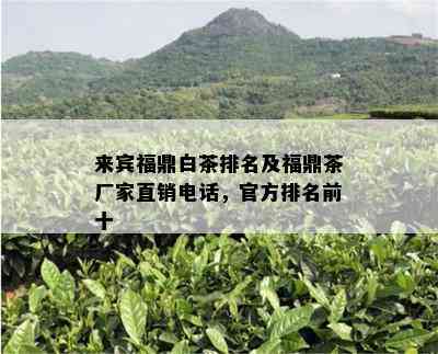 来宾福鼎白茶排名及福鼎茶厂家直销电话，官方排名前十