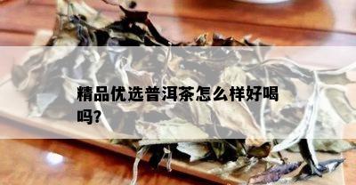 精品优选普洱茶怎么样好喝吗？