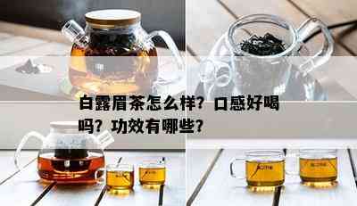 白露眉茶怎么样？口感好喝吗？功效有哪些？