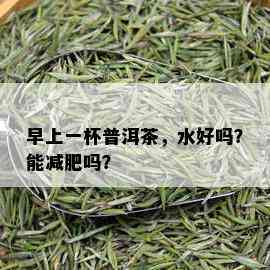 早上一杯普洱茶，水好吗？能减肥吗？