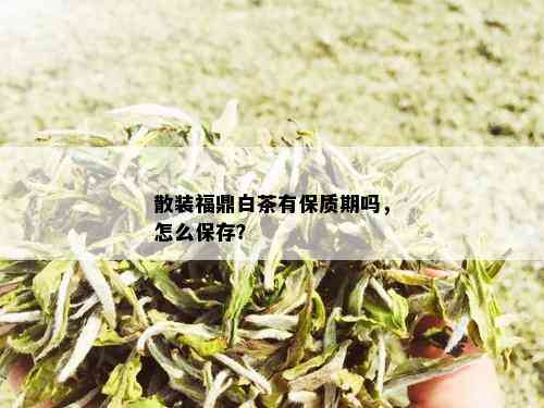 散装福鼎白茶有保质期吗，怎么保存？