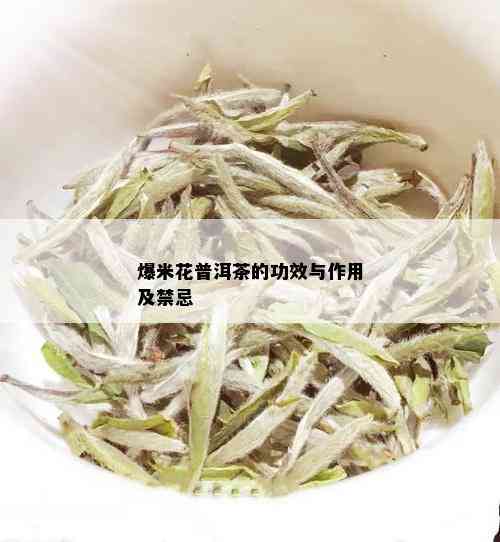 爆米花普洱茶的功效与作用及禁忌