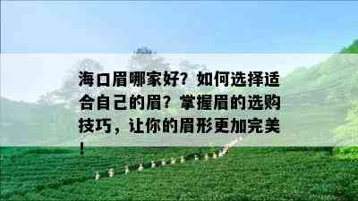 海口眉哪家好？如何选择适合自己的眉？掌握眉的选购技巧，让你的眉形更加完美！