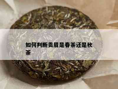 如何判断贡眉是春茶还是秋茶