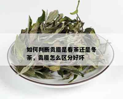 如何判断贡眉是春茶还是冬茶，贡眉怎么区分好坏