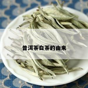 普洱茶白茶的由来