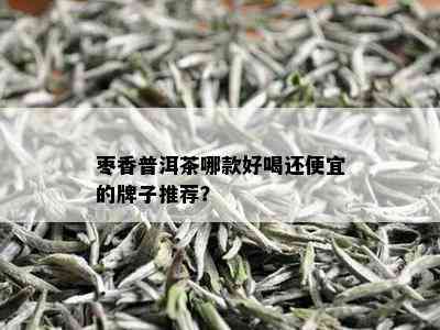 枣香普洱茶哪款好喝还便宜的牌子推荐？