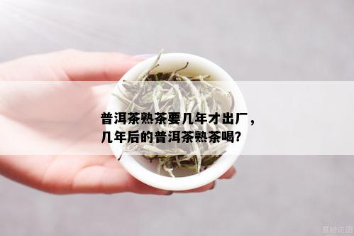 普洱茶熟茶要几年才出厂，几年后的普洱茶熟茶喝？