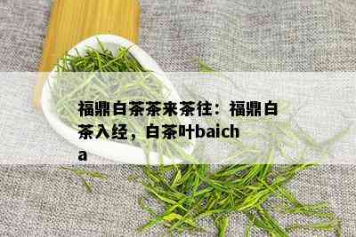 福鼎白茶茶来茶往：福鼎白茶入经，白茶叶baicha