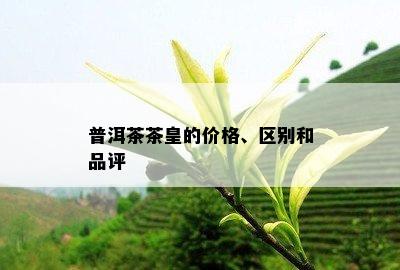 普洱茶茶皇的价格、区别和品评