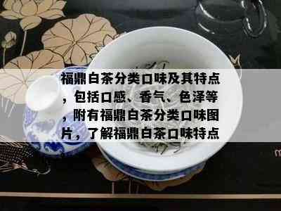 福鼎白茶分类口味及其特点，包括口感、香气、色泽等，附有福鼎白茶分类口味图片，了解福鼎白茶口味特点。