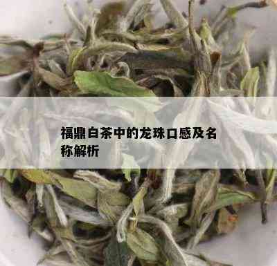 福鼎白茶中的龙珠口感及名称解析