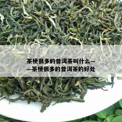 茶梗很多的普洱茶叫什么——茶梗很多的普洱茶的好处