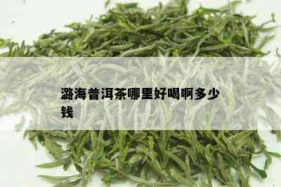 潞海普洱茶哪里好喝啊多少钱