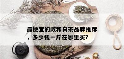 更便宜的政和白茶品牌推荐，多少钱一斤在哪里买？